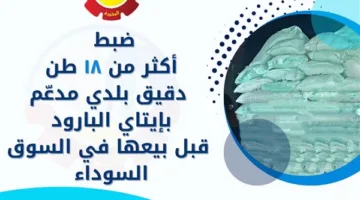 إحباط بيع 18 طن من الدقيق المدعوم في إيتاي البارود قبل تهريبه إلى السوق السوداء