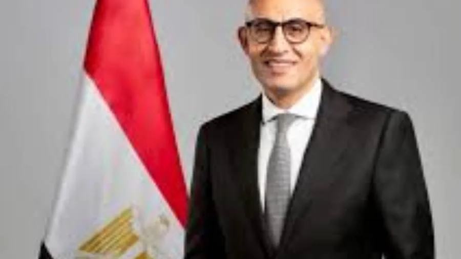 تأجيل قضية إقالة وزير التربية والتعليم إلى 9 سبتمبر تأجيل قضية إقالة وزير التربية والتعليم إلى 9 سبتمبر