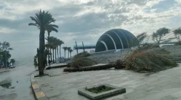 محافظة الإسكندرية تكشف عن الأضرار الناتجة عن العاصفة حتى اللحظة