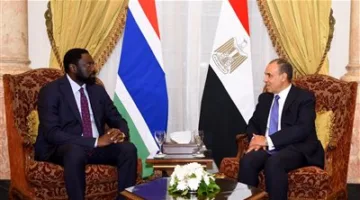 وزير الخارجية: الاضطرابات في ليبيا والسودان تؤثر بشكل مباشر على الأمن القومي لمصر