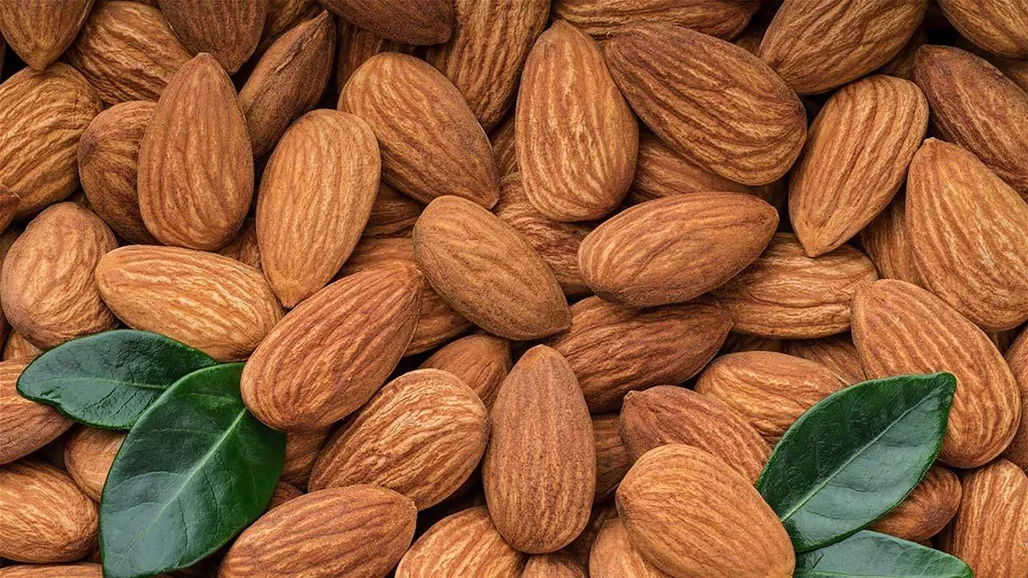 يحسن مستويات السكر في الدم ويقي من أمراض خطيرة.. فوائد رائعة للوز يحسن مستويات السكر في الدم ويقي من أمراض خطيرة.. فوائد رائعة للوز