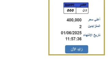 سعرها 400 ألف جنيه.. طريقة تقديم عرض لشراء لوحة سيارة فريدة