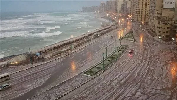 إيمان شاكر: عاصفة الإسكندرية تشير إلى تغيرات مناخية غير عادية (فيديو) إيمان شاكر: عاصفة الإسكندرية تشير إلى تغيرات مناخية غير عادية (فيديو)