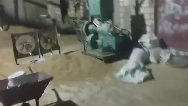 التحقيق في مصنع لإنتاج التوابل من الحبوب بطرق غير صحية في بني سويف التحقيق في مصنع لإنتاج التوابل من الحبوب بطرق غير صحية في بني سويف