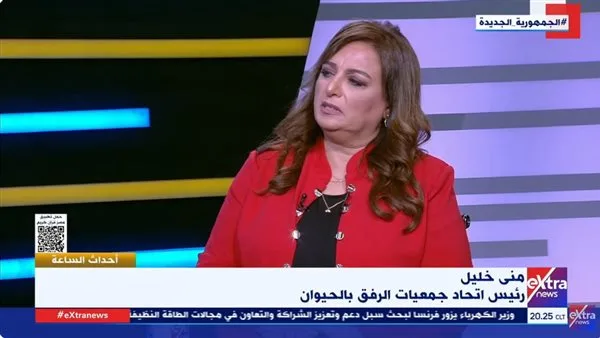 رئيس اتحاد رفاهية الحيوان: لا يمكننا تحديد عدد الكلاب المشردة في مصر رئيس اتحاد رفاهية الحيوان: لا يمكننا تحديد عدد الكلاب المشردة في مصر