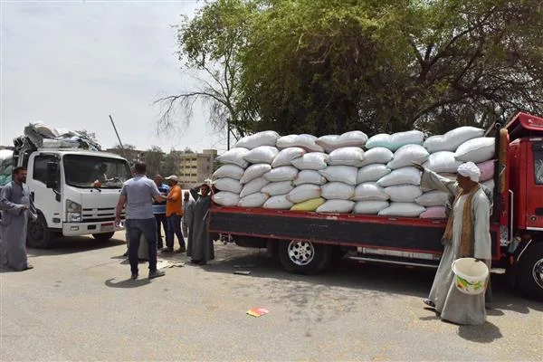 توريد 214 ألف طن من القمح إلى صوامع وشون كفر الشيخ توريد 214 ألف طن من القمح إلى صوامع وشون كفر الشيخ
