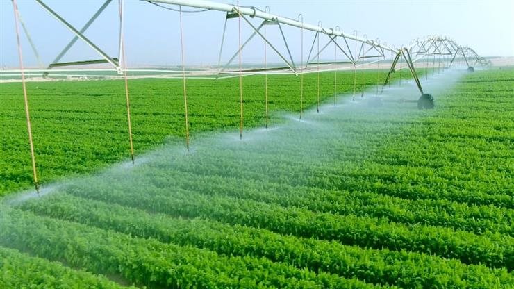 مسئول بمؤسسة التمويل الدولية: نستثمر مليار دولار بالمشروعات الزراعية في مصر خلال 2025 مسئول بمؤسسة التمويل الدولية: نستثمر مليار دولار بالمشروعات الزراعية في مصر خلال 2025