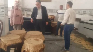 صحة الدقهلية: إغلاق 2100 مرفق غذائي غير مطابق وإتلاف 31 طنًا خلال ثلاثة أشهر