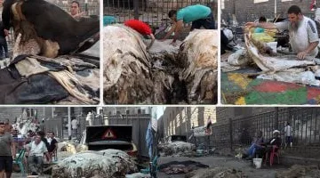 غرفة صناعة الجلود تشارك بـ 13 شركة في معرض الصين الدولي.. يونيو المقبل