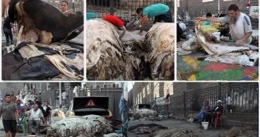 غرفة صناعة الجلود تشارك بـ 13 شركة في معرض الصين الدولي.. يونيو المقبل غرفة صناعة الجلود تشارك بـ 13 شركة في معرض الصين الدولي.. يونيو المقبل