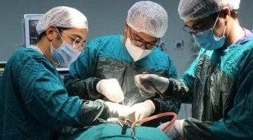 وزارة الصحة تعلن نجاح جراحة دقيقة لإزالة ورم من فك مريضة بمستشفى زايد التخصصي