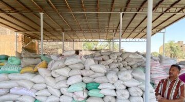 توريد 46168 طن قمح إلى شون وصوامع البحيرة