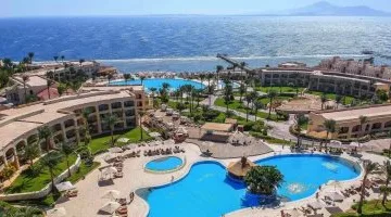 اليوم.. انعقاد الجمعية العمومية لغرفة محال السلع والعاديات السياحية
