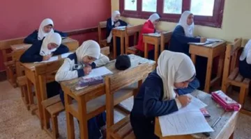 تعليم الوادي الجديد: الاستعداد والجاهزية لامتحانات نهاية العام