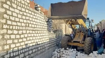 محافظ الدقهلية: استمرار تنفيذ أعمال اليوم الثالث لإزالة التعديات على الأراضي ضمن الموجة 26