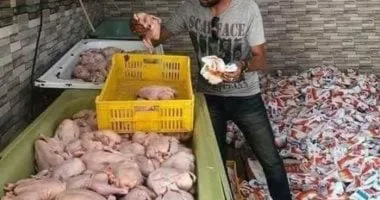 ضبط دواجن مجهولة المصدر غير صالحة للاستهلاك الآدمى فى المنوفية ضبط دواجن مجهولة المصدر غير صالحة للاستهلاك الآدمى فى المنوفية