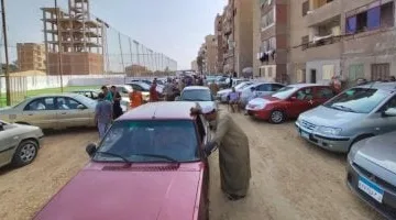 تعرف على حجم تراخيص السيارات خلال شهرى فبراير ومارس 2025
