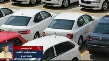 مقارنة بين تراخيص السيارات الملاكى خلال فبراير ومارس 2025
