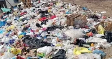 الحبس والغرامة عقوبة إلقاء أو فرز القمامة فى غير الأماكن المخصصة الحبس والغرامة عقوبة إلقاء أو فرز القمامة فى غير الأماكن المخصصة