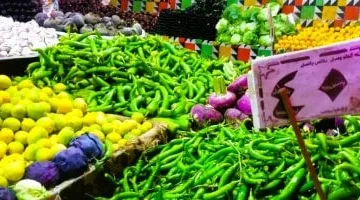 أسعار الخضراوات اليوم الخميس 8-5-2025 فى القليوبية.. الطماطم بـ 5 جنيهات