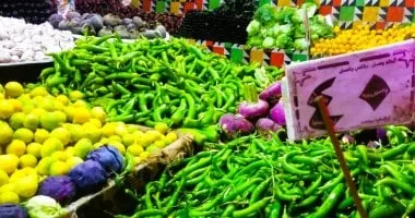 أسعار الخضراوات اليوم الخميس 8-5-2025 فى القليوبية.. الطماطم بـ 5 جنيهات أسعار الخضراوات اليوم الخميس 8-5-2025 فى القليوبية.. الطماطم بـ 5 جنيهات