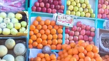 أسعار الفاكهة بأسواق مطروح اليوم الأربعاء 7-5- 2025.. العنب بشاير بـ120 جنيها