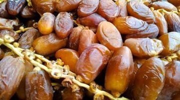 أسعار البلح السيوى بأسواق مطروح اليوم الأحد 4- 5-2025.. الواحاتى بـ50 جنيها