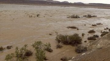 سيول محدودة بلا خسائر تضرب مناطق مركز الحسنة بوسط سيناء.. صور