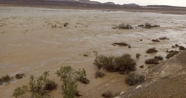 سيول محدودة بلا خسائر تضرب مناطق مركز الحسنة بوسط سيناء.. صور سيول محدودة بلا خسائر تضرب مناطق مركز الحسنة بوسط سيناء.. صور