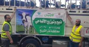 تخصيص 50 ألف كيلو لحوم أضاحي و75 عجلا بلديا لتوزيعها بكفر الشيخ تخصيص 50 ألف كيلو لحوم أضاحي و75 عجلا بلديا لتوزيعها بكفر الشيخ
