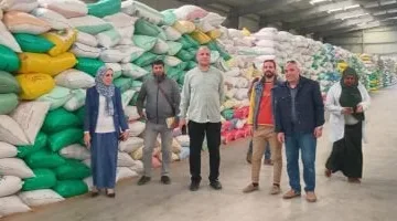 تموين كفر الشيخ: توريد 61950 طن قمح في 26 موقعا
