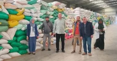 تموين كفر الشيخ: توريد 61950 طن قمح في 26 موقعا تموين كفر الشيخ: توريد 61950 طن قمح في 26 موقعا