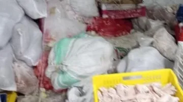 ضبط 12 طن مصنعات وأجزاء دواجن منتهية الصلاحية يتم إعادة تدويرها بمصنع بالخانكة