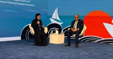 محيي الدين: تحقيق التوازن الاقتصادي والاستدامة يتطلب الاستثمار في رأس المال البشري محيي الدين: تحقيق التوازن الاقتصادي والاستدامة يتطلب الاستثمار في رأس المال البشري
