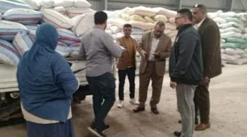 محافظ دمياط يتابع توريد القمح ويوجه بالتنسيق بين الأجهزة المعنية