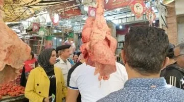 ضبط طن لحوم غير مطابق للمواصفات وتحرير 30 مخالفة تموينية فى الإسماعيلية