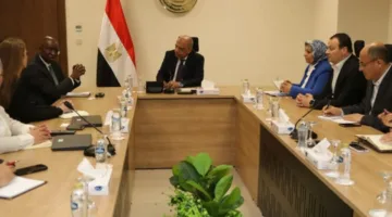 وزير الكهرباء يبحث مع "IFC" دعم مشروعات الطاقة المتجددة وتوسيع قدرات الشبكة القومية