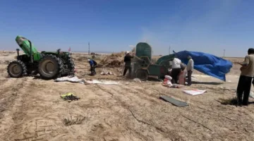 "الزراعة" تتابع جهود "بحوث الصحراء" و"الزراعة الآلية" في حصاد القمح والشعير