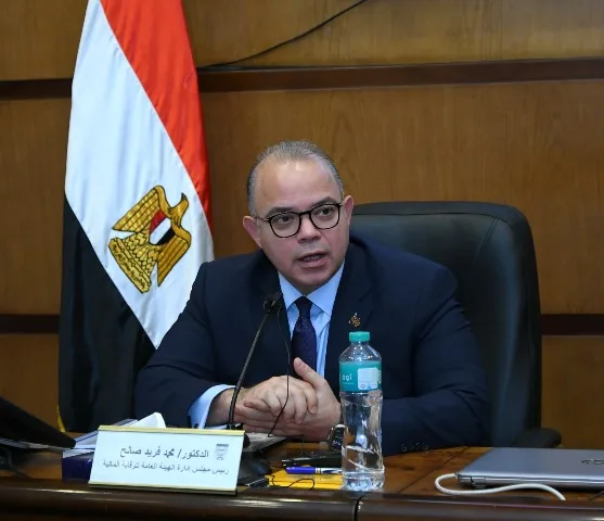 الرقابة المالية تؤكد على أن الاستثمار بالمعادن النفيسة يتم عبر وثائق صناديق الاستثمار الرقابة المالية تؤكد على أن الاستثمار بالمعادن النفيسة يتم عبر وثائق صناديق الاستثمار