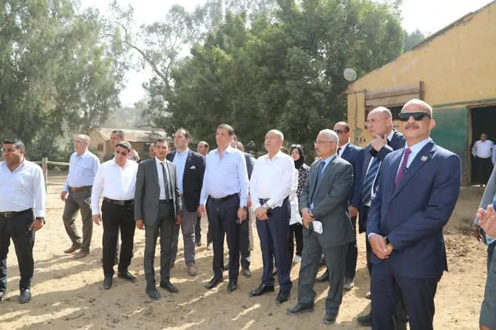 وزير الزراعة ومحافظ القاهرة يتفقدان محطة الزهراء للخيول العربية وزير الزراعة ومحافظ القاهرة يتفقدان محطة الزهراء للخيول العربية
