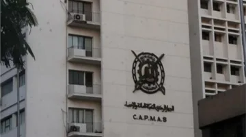الجهاز المركزي للتعبئة والإحصاء: 41% من عقارات الإيجار القديم في القاهرة