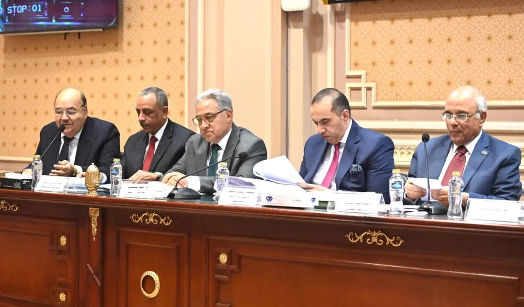 أستاذ قانون أمام "النواب": البرلمان له الحق في نظر المشكلات الأخرى المتعلقة بالإيجارات القديم أستاذ قانون أمام "النواب": البرلمان له الحق في نظر المشكلات الأخرى المتعلقة بالإيجارات القديم