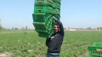 عامل باليومية صباحا ولاعب طائرة مساء.. نجم الاتحاد يواجه الحياة بكفّين من العطاء