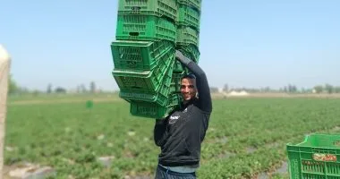 عامل باليومية صباحا ولاعب طائرة مساء.. نجم الاتحاد يواجه الحياة بكفّين من العطاء عامل باليومية صباحا ولاعب طائرة مساء.. نجم الاتحاد يواجه الحياة بكفّين من العطاء