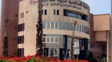 ارتفاع أرباح "أموك" إلى 1.1 مليار جنيه خلال 9 أشهر