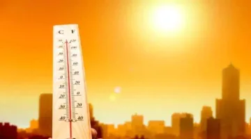 "مركز المناخ": تمدد منخفض الهند الموسمي يرفع الحرارة ويهدد المحاصيل الصيفية