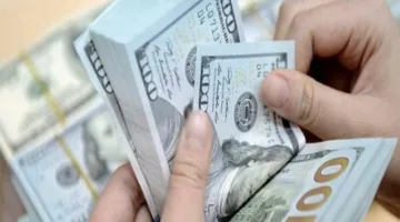قفزة غير مسبوقة في تحويلات المصريين في الخارج تصل إلى 32.6 مليار دولار خلال العام الماضي