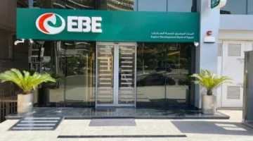 1.3 مليار جنيه عائدات بنك التنمية المصري خلال فترة 3 أشهر