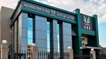 البنك الزراعي المصري يكشف عن التشكيل الجديد لمجلس إدارته: أبوالسعود في منصب الرئيس التنفيذي وعبد الصادق وغادة مصطفى نائبين للرئيس.