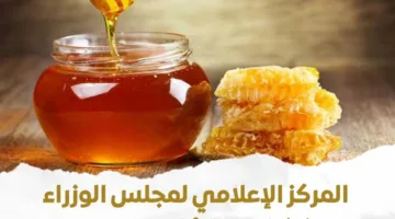 “الحكومة” ترد على ادعاءات العسل المقلد وتوضح أن التحاليل غير موثوقة والمعلومات مضللة.